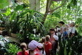 4-А клас на екскурсії у Ботанічному саду